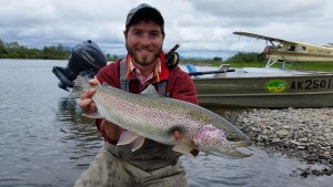 rainbow trout